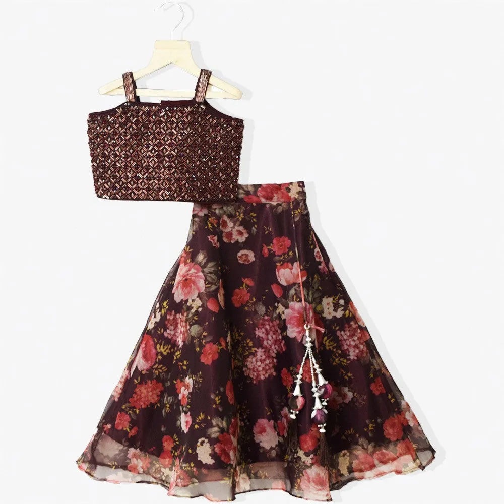 Brown Hand Embroidered Choli With Floral Organza Lehenga & Ruffle Dupatta