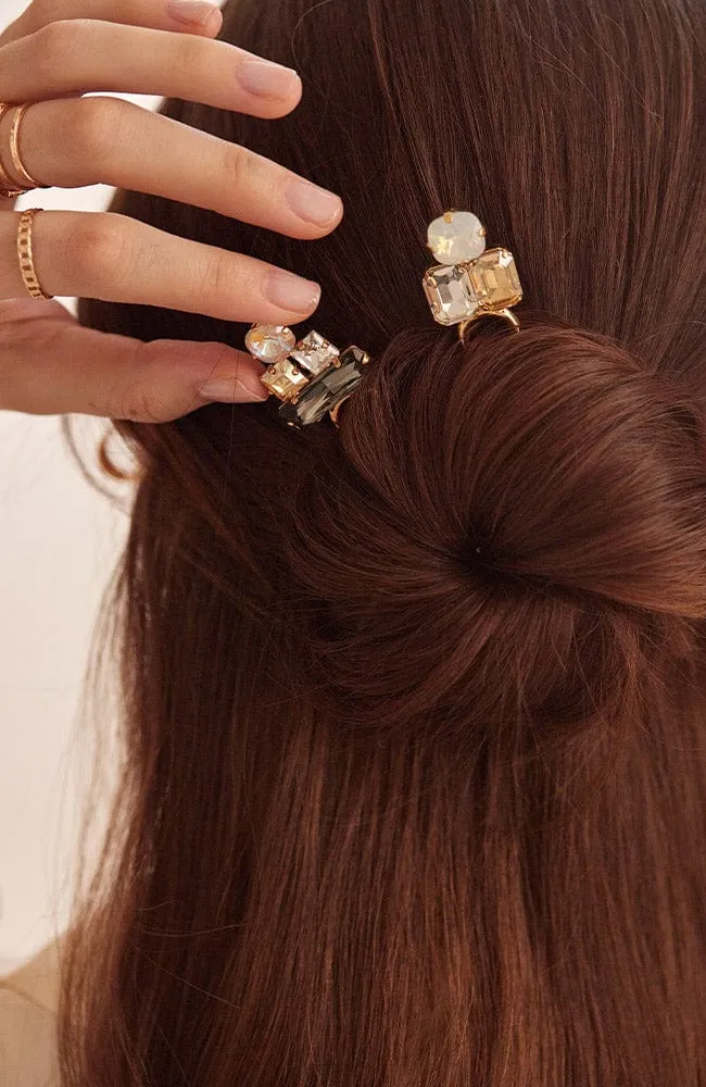 Verona Chignon